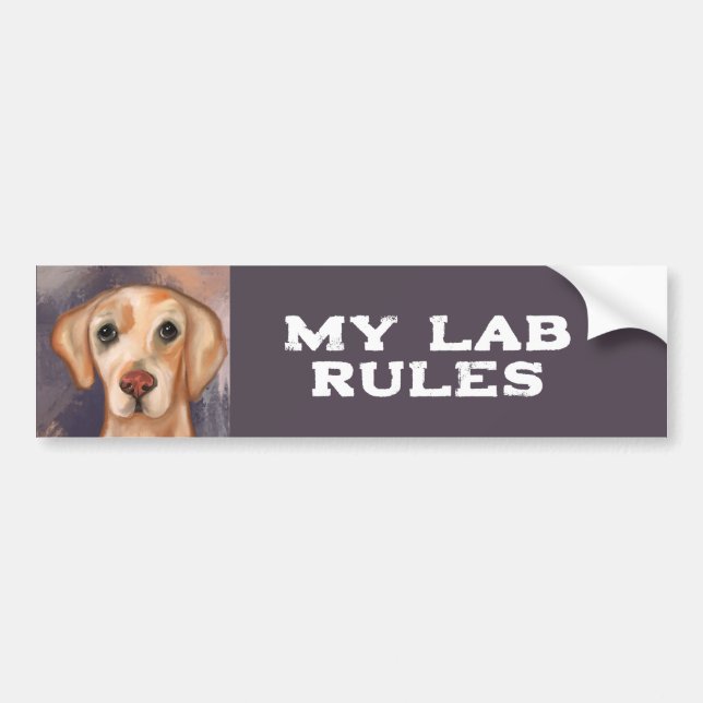 Labrador Retriever    Bumper Sticker (Front)