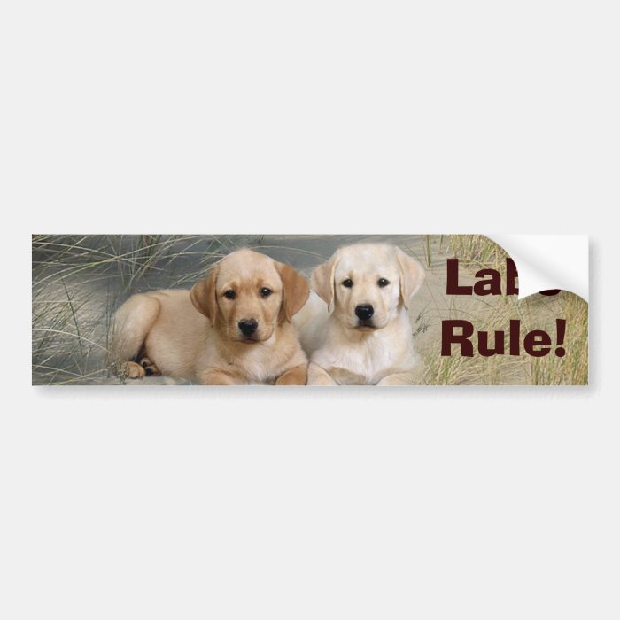 Labrador Retriever Bumper Sticker Puppies Rule