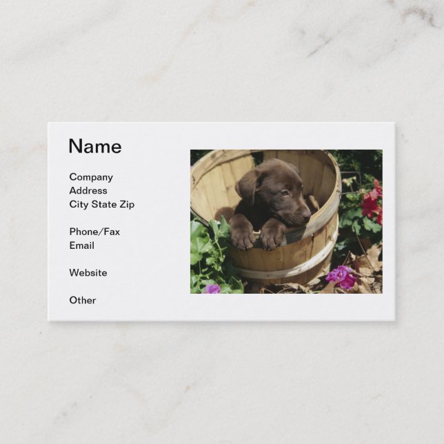 Labrador Retriever Business Card (Front)