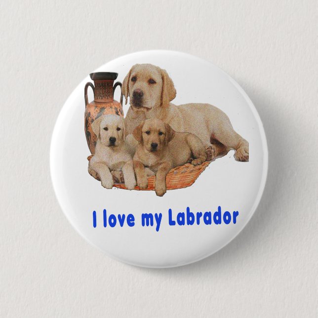 Labrador Retriever Button (Front)
