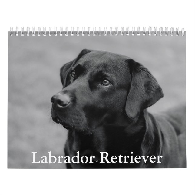 Labrador Retriever Calendar (Cover)