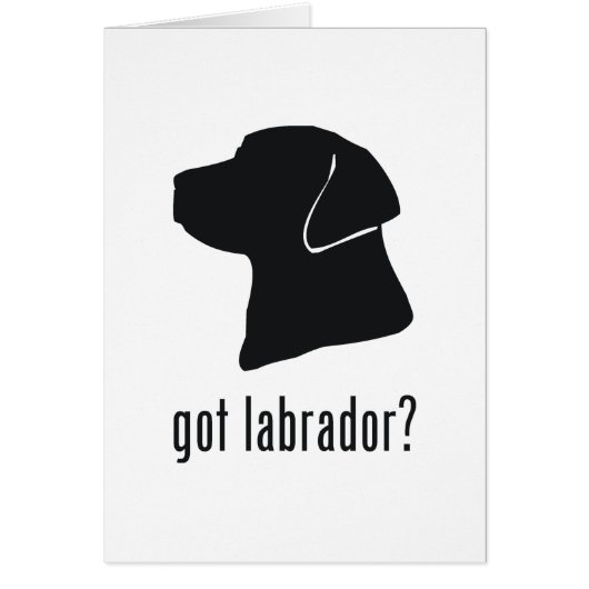 Labrador Retriever Cards (Front)