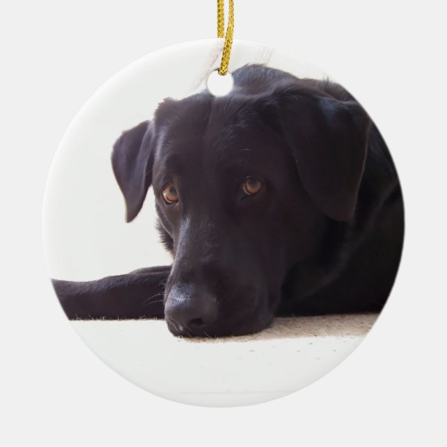 labrador retriever ceramic ornament (Front)