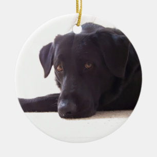 labrador retriever ceramic ornament