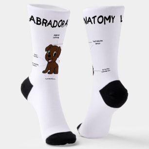 Labrador Retriever Chocolate Cartoon Anatomy Socks