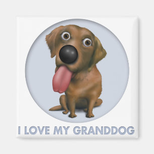 Labrador Retriever (Chocolate) Granddog Magnet