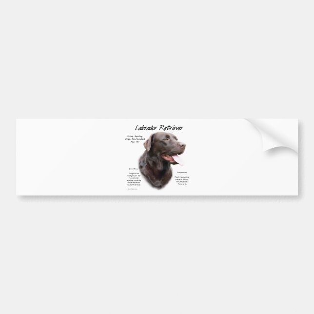 Labrador Retriever (chocolate) History Design Bumper Sticker (Front)