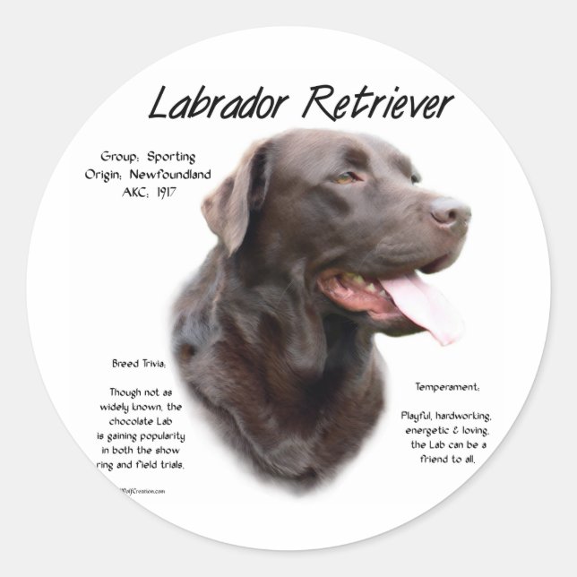 Labrador Retriever (chocolate) History Design Classic Round Sticker (Front)