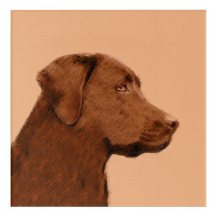 Labrador Retriever (Chocolate) Painting - Dog Art