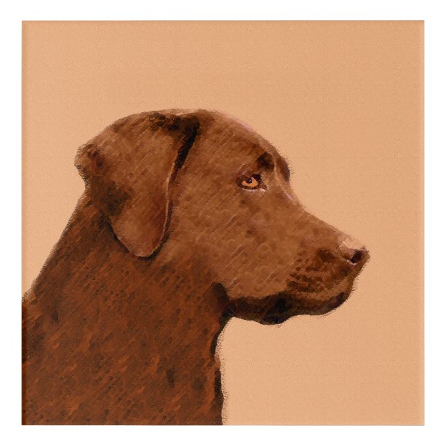 Labrador Retriever (Chocolate) Painting - Dog Art (Front)