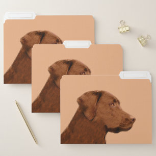 Labrador Retriever (Chocolate) Painting - Dog Art File Folder