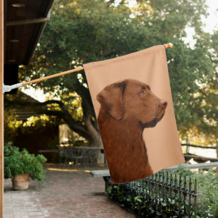 Labrador Retriever (Chocolate) Painting - Dog Art House Flag