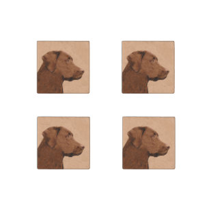 Labrador Retriever (Chocolate) Painting - Dog Art Stone Magnet
