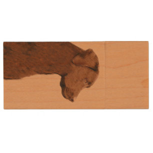 Labrador Retriever (Chocolate) Painting - Dog Art Wood Flash Drive