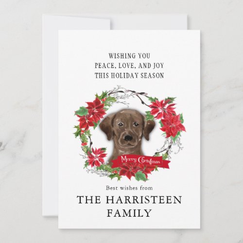 Labrador Retriever chocolate Poinsettia Christmas Holiday Card