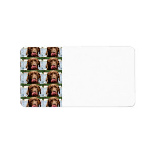 Labrador Retriever Chocolate Tiles BG Label