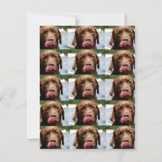 Labrador Retriever Chocolate Tiles BG Note Card (Front)