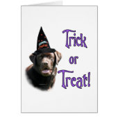 Labrador Retriever (chocolate)Trick (Front)