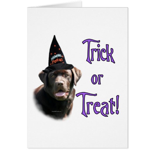 Labrador Retriever (chocolate)Trick Cards (Front)