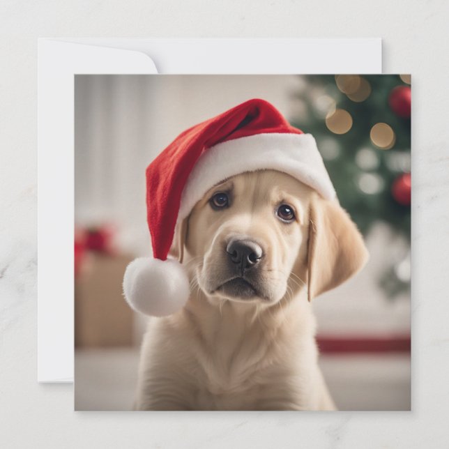 Labrador Retriever Christmas (Front)