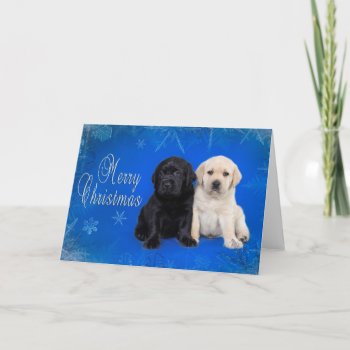 Labrador Retriever Christmas Card by petsArt at Zazzle