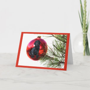 Labrador Retriever Christmas Card Ball Hanging8