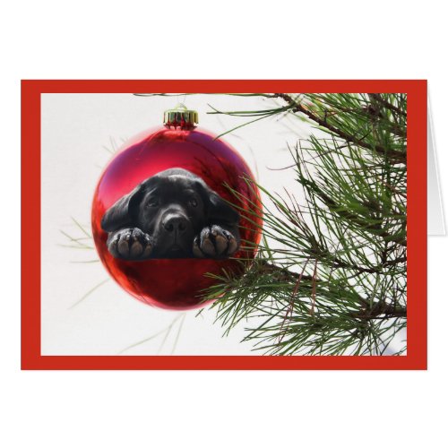 Labrador Retriever  Christmas Card Ball Hanging9