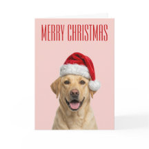 Labrador Retriever Christmas Cheer