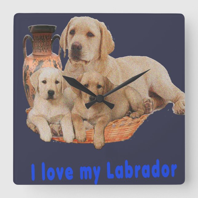 Labrador retriever clocks (Front)