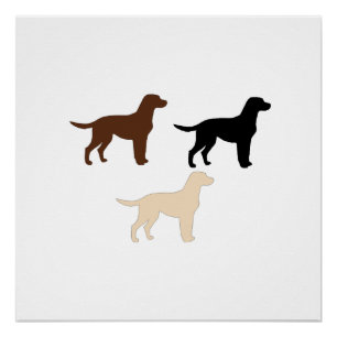 labrador retriever color silhouettes poster