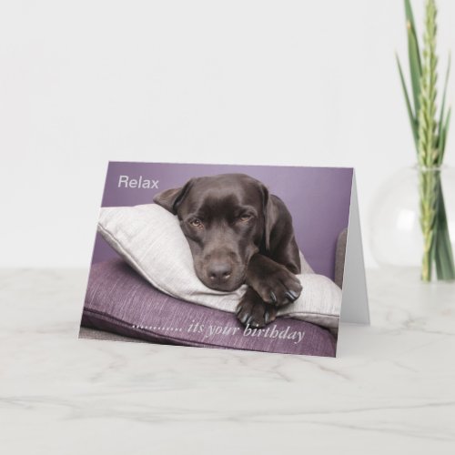 Labrador retriever custom card