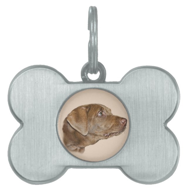Labrador Retriever Customizable Dog Tag (Front)