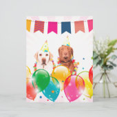 Labrador Retriever Dog Balloons Birthday (Standing Front)