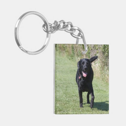 Labrador Retriever dog black beautiful photo Keychain