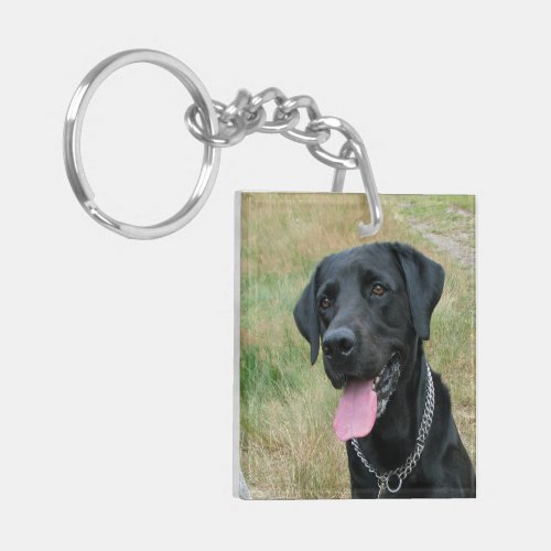 Labrador Retriever dog black beautiful photo Keychain