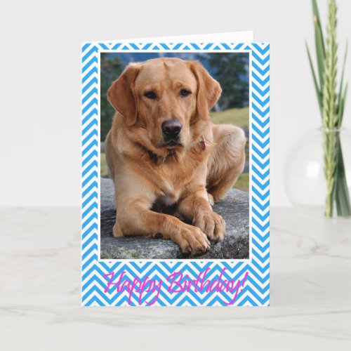 Labrador Retriever Dog Happy Birthday Blue Card