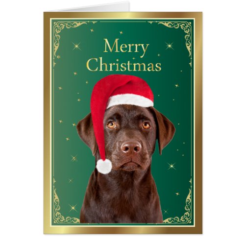 Labrador Retriever dog merry christmas card