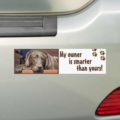 Labrador Retriever Dog Photo Funny Template Bumper Sticker