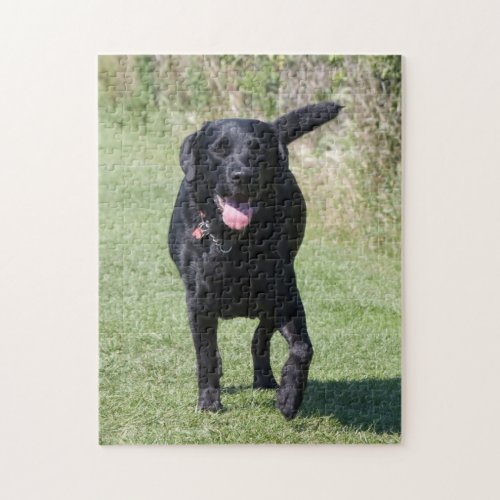 Labrador Retriever dog photo jigsaw puzzle