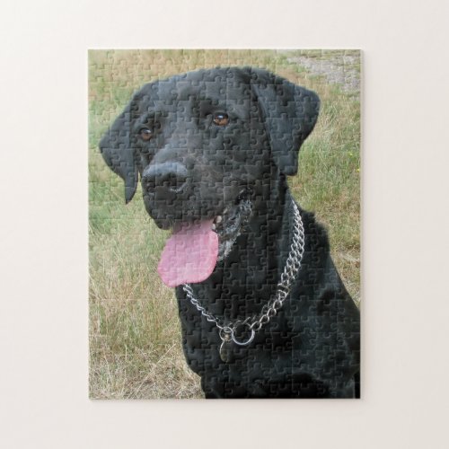 Labrador Retriever dog photo jigsaw puzzle