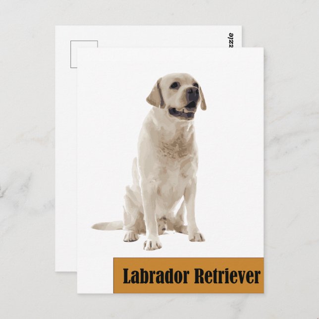 Labrador Retriever Dog photo Postcard (Front/Back)