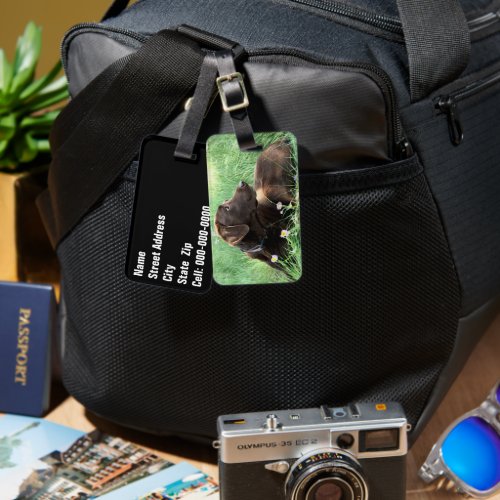 Labrador Retriever Dog Portrait In Purple Flowers Luggage Tag