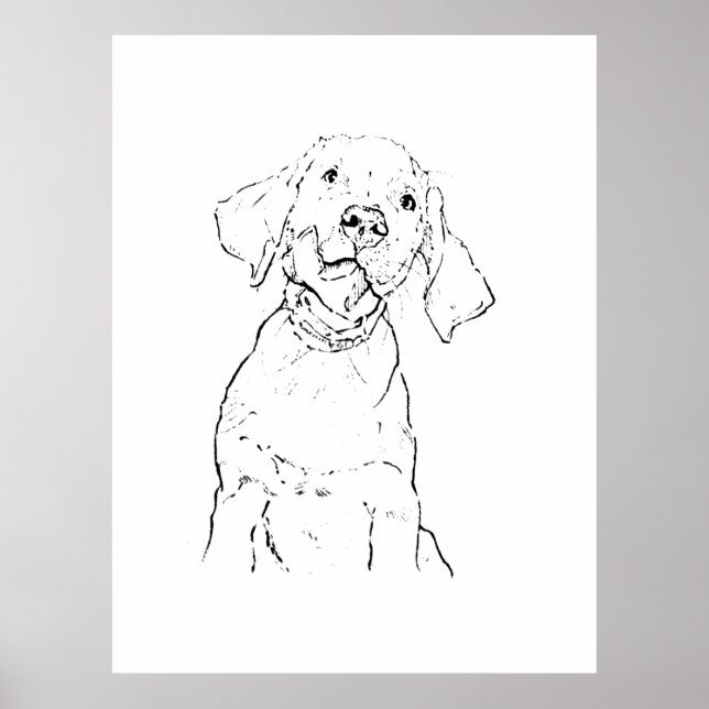 Labrador Retriever Dog Postcard Poster (Front)