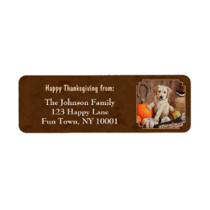 Labrador Retriever Dog & Pumpkins Brown Label