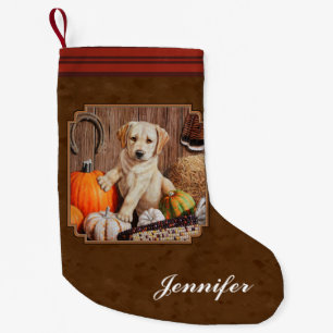 Labrador Retriever Dog & Pumpkins Brown Small Christmas Stocking