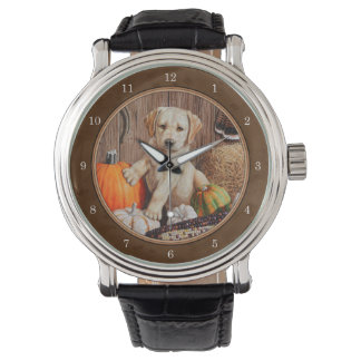 Labrador Retriever Dog & Pumpkins Brown Watch