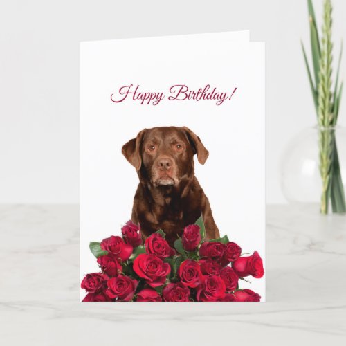 Labrador Retriever Dog Roses Happy Birthday Card