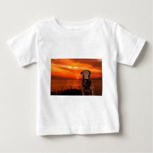 Labrador Retriever Dog Sitting beside Sunset Baby T-Shirt