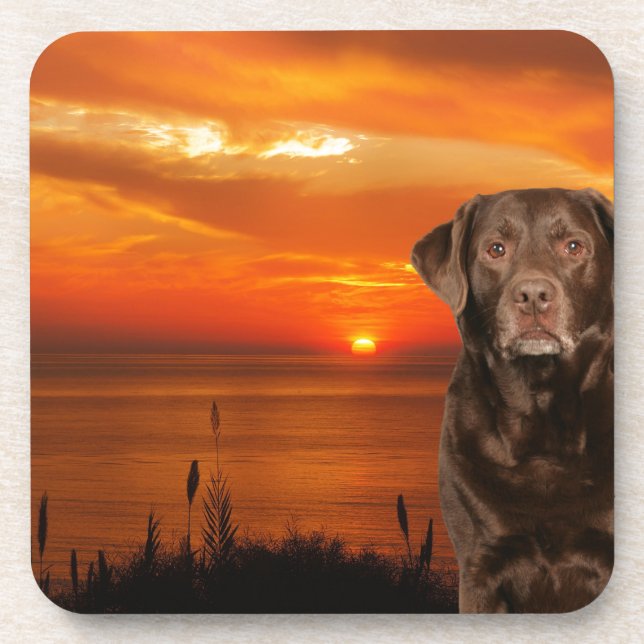 Labrador Retriever Dog Sitting beside Sunset Coaster (Front)