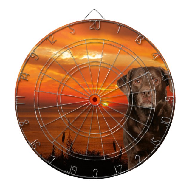 Labrador Retriever Dog Sitting beside Sunset Dart Board (Front)